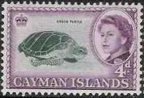 Stamp, Green Sea Turtle (Chelonia mydas), Cayman Islands,  , Turtles