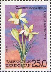 Stamp, Crocus alatavicus, Uzbekistan,  , Flowers