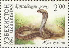 Stamp, Central Asian Cobra (Naja oxiana), Uzbekistan,  , Reptiles, Snakes, Animals (Fauna)
