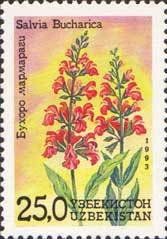 Stamp, Salvia bucharica, Uzbekistan,  , Flowers