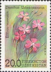 Stamp, Dianthus uzbecistanicus, Uzbekistan,  , Flowers