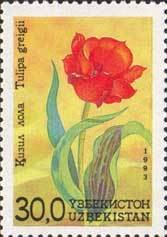 Stamp, Tulipa greigii, Uzbekistan,  , Flowers