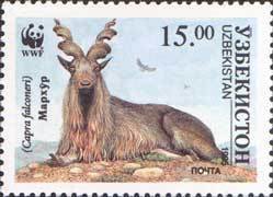 Stamp, Markhor (Capra falconeri), Uzbekistan,  , Mammals, Goats, WWF, Animals (Fauna)