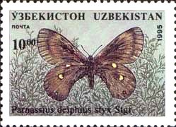 Banded Apollo (Parnassius delphius)