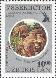 Himalayan Brown Bear (Ursus arctos isabellinus)