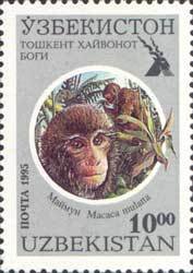 Stamp, Rhesus macaque (Macaca mulatta), Uzbekistan,  , Mammals, Zoos, Monkeys, Animals (Fauna)