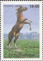 Korabajiry Horse (Equus ferus caballus)