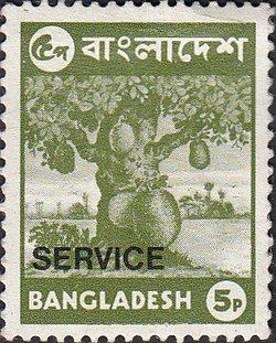 Views- Jackfruit, overprinted