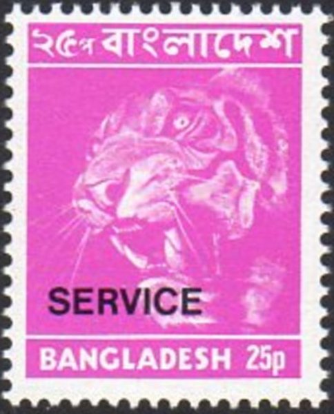 Bengal Tiger (Panthera tigris tigris), overprinted