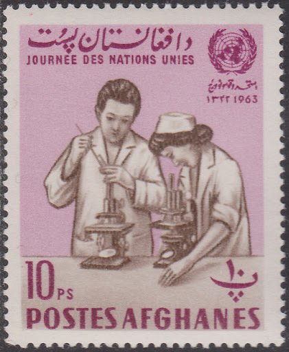 Doctor and nurse
