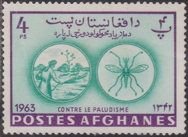 Spraying against Anopheles Mosquito (Anopheles sp.)
