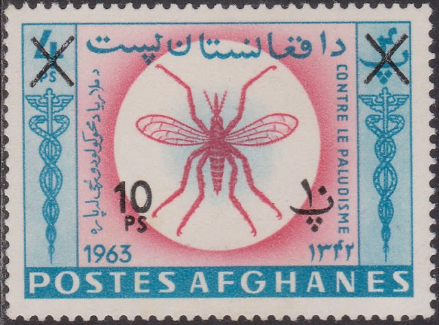 Anopheles Mosquito (Anopheles sp.)