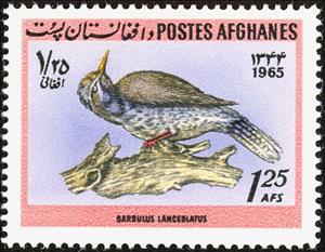 Stamp, Lanceolated Jay (Garrulus lanceolatus), Afghanistan,  , Birds, Animals (Fauna)