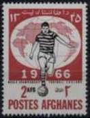 Soccer Player