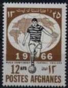 Soccer Player
