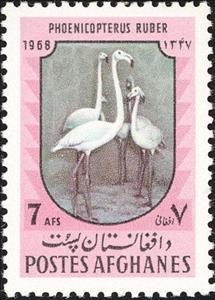 Stamp, Caribbean Flamingo (Phoenicopterus ruber) , Afghanistan,  , Birds, Animals (Fauna)