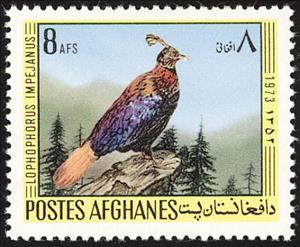 Stamp, Himalayan Monal (Lophophorus impejanus), Afghanistan,  , Birds, Animals (Fauna)