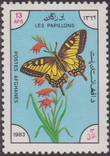 Swallowtail (Papilio machaon)
