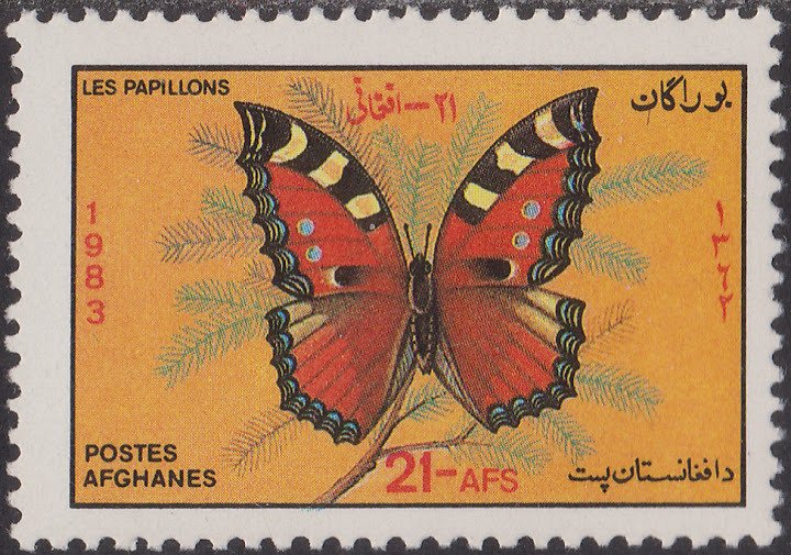 Small Tortoiseshell (Aglais urticae)