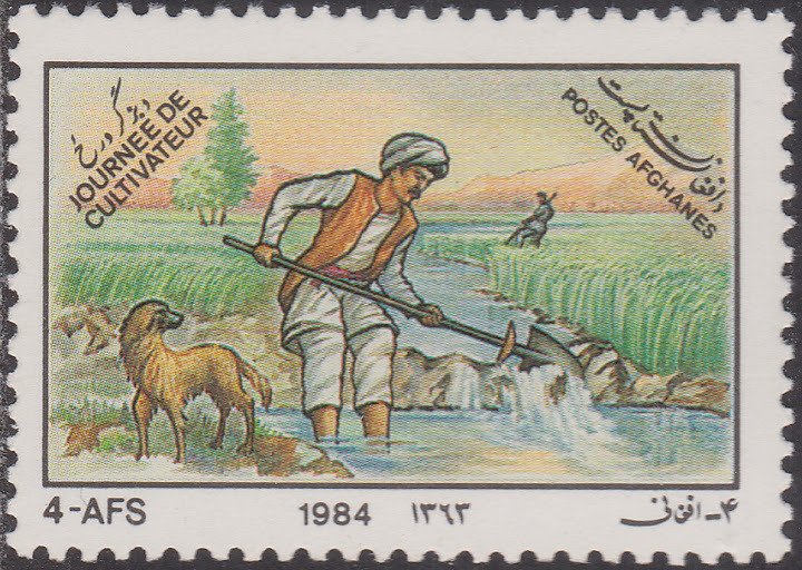 Irrigation fields