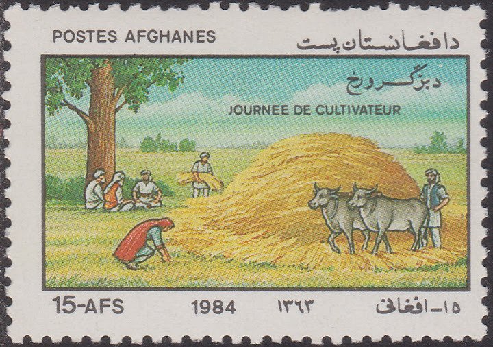 Fodder for livestock