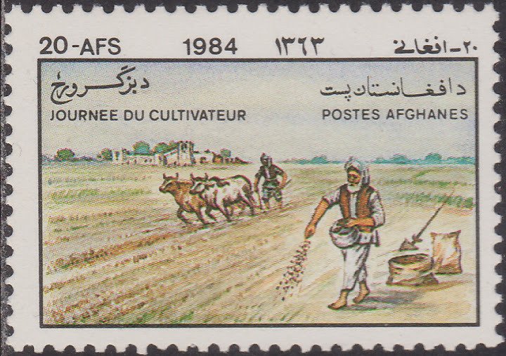 Cattle (Bos primigenius taurus), Planting Crops