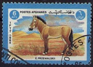 Stamp, Przewalski's Horse (Equus ferus przewalskii), Afghanistan,  , Mammals, Horses, Animals (Fauna)