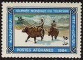 Buffalo riders in snow