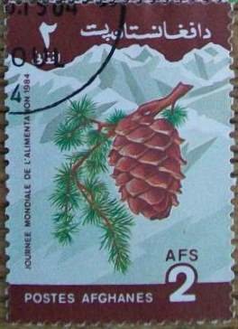 Stamp, Pine cone, Afghanistan,  , Fruits