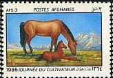 Horse (Equus ferus caballus) - Mare with Foal
