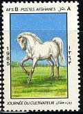 Horse (Equus ferus caballus)