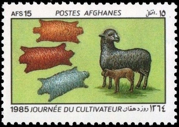 Karakul Sheep (Ovis ammon aries) with Lamb, Furs