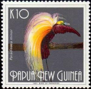 Stamp, Lesser Bird-of-paradise (Paradisaea minor), Papua New Guinea,  , Birds