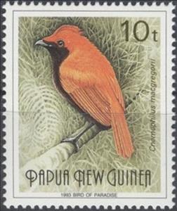 Stamp, Crested Satinbird (Cnemophilus macgregorii), Papua New Guinea,  , Birds, Animals (Fauna)