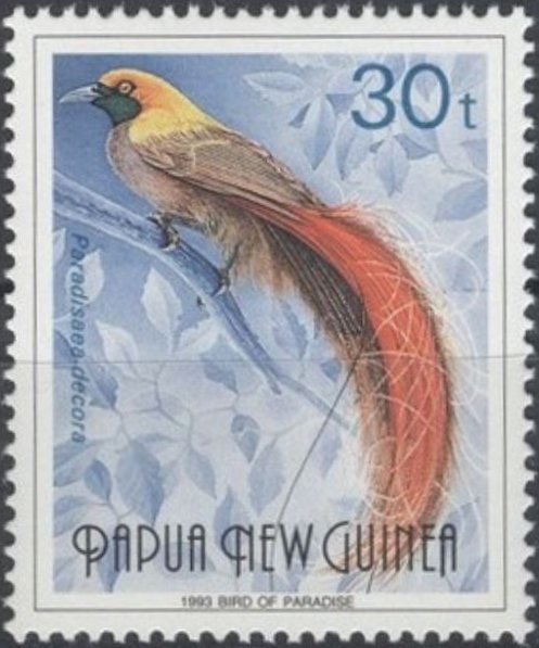 Goldie's Bird-of-paradise (Paradisaea decora)