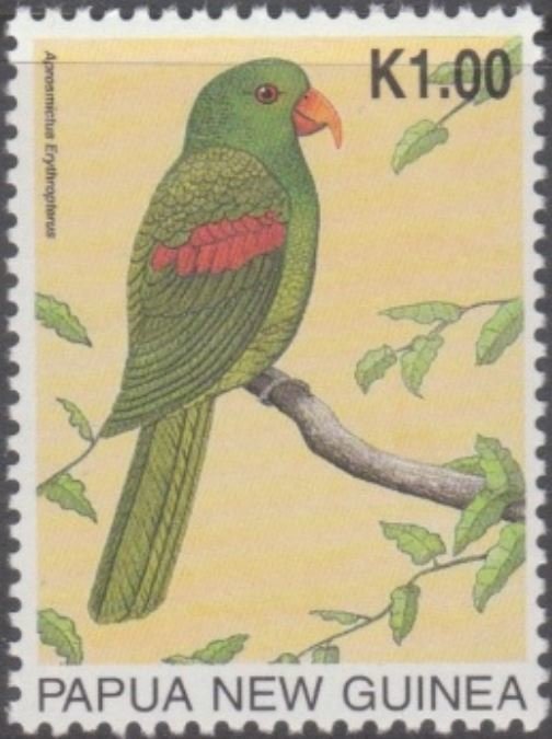 Red-winged Parrot (Aprosmictus erythropterus)