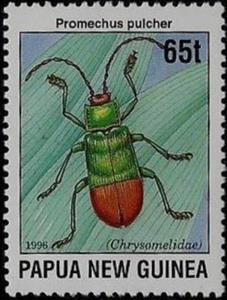 Stamp, Leaf Beetle (Promechus pulcher), Papua New Guinea,  , Insects, Beetles