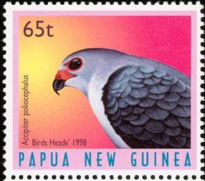 Stamp, Grey-headed Goshawk (Accipiter poliocephalus), Papua New Guinea,  , Birds, Animals (Fauna)