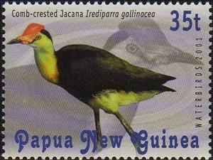Stamp, Comb-crested Jacana (Irediparra gallinacea), Papua New Guinea,  , Birds, Animals (Fauna)