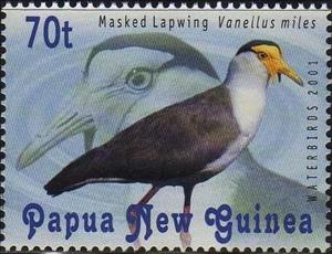 Stamp, Masked Lapwing (Vanellus miles), Papua New Guinea,  , Birds