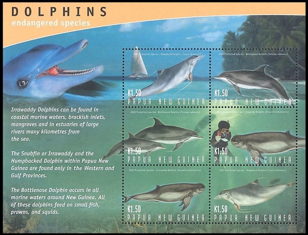 Dolphin - MiNo. 1031-36