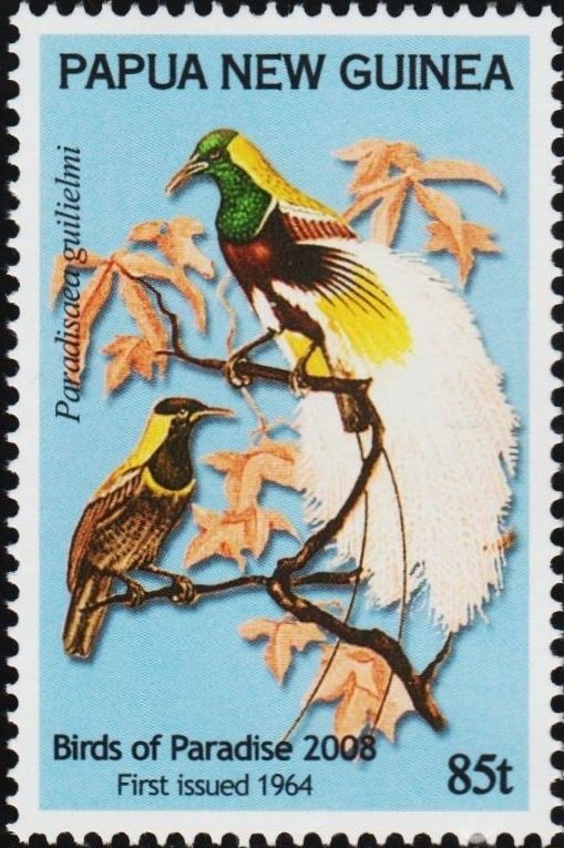 Emperor Bird-of-paradise (Paradisaea guilielmi)