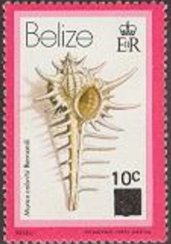 Murex cabriti