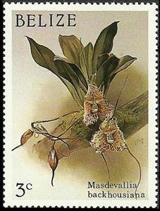 Stamp, Dracula chimaera (syn.Masdevallia backhousiana), Belize,  , Flowers, Christmas, Orchids, Plants (Flora)