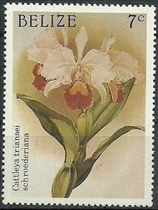 Stamp, Cattleya schroederae (syn.Cattleya trianae var.schroederae), Belize,  , Flowers, Christmas, Orchids, Plants (Flora)