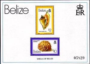 Souvenir Sheet, Sheet of 2, Belize,  , Shells