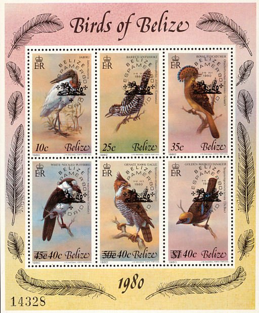 Various birds