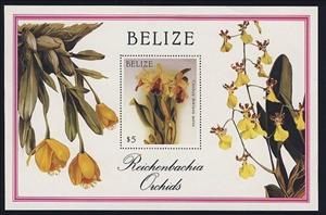 Souvenir Sheet, Cattleya dowiana var. aurea, Belize,  , Flowers, Orchids, Plants (Flora)