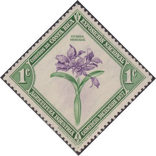 Purple Guaria Orchid, National Flower
