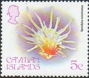 Stamp, Atlantic Thorny Oyster (Spondylus americanus), Cayman Islands,  , Shells